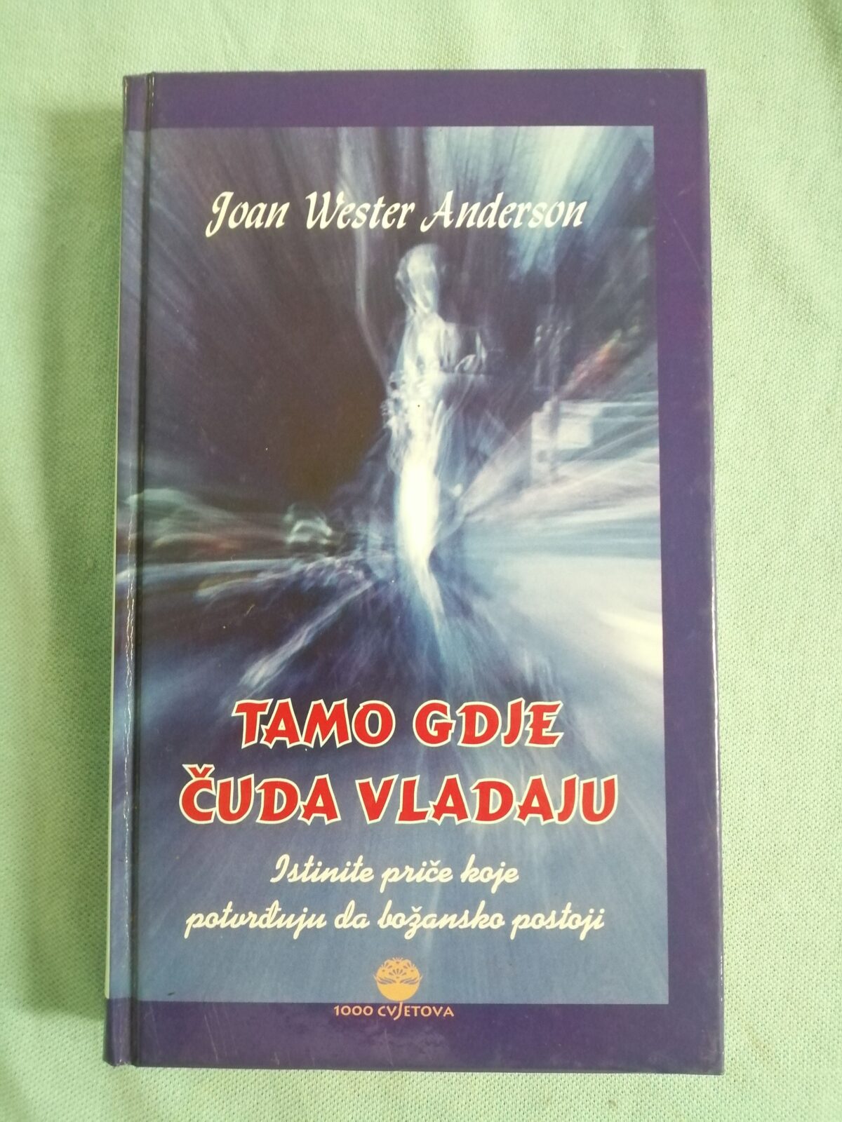 Joan Wester Anderson – Tamo gdje čuda vladaju : istinite priče - cover