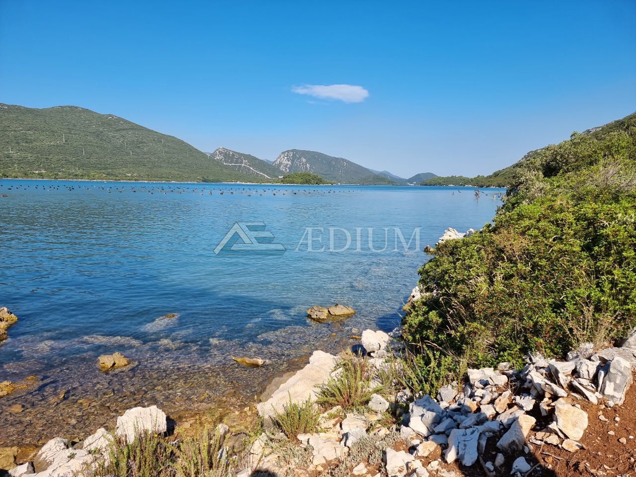 NEGRAĐEVINSKO ZEMLJIŠTE UZ SAMO MORE, 4800 M2 - cover