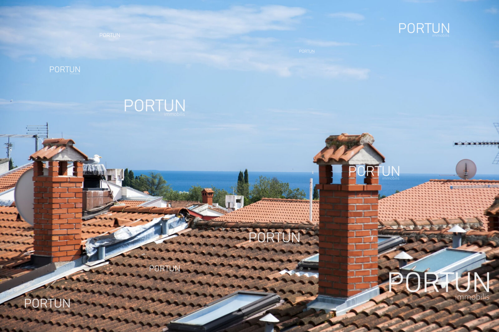 Rovinj, stan s pogledom na more - cover