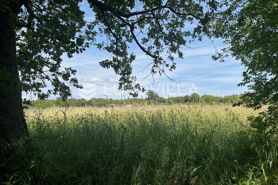 Istra, Muntić poljoprivredno zemljište u blizini centra - cover