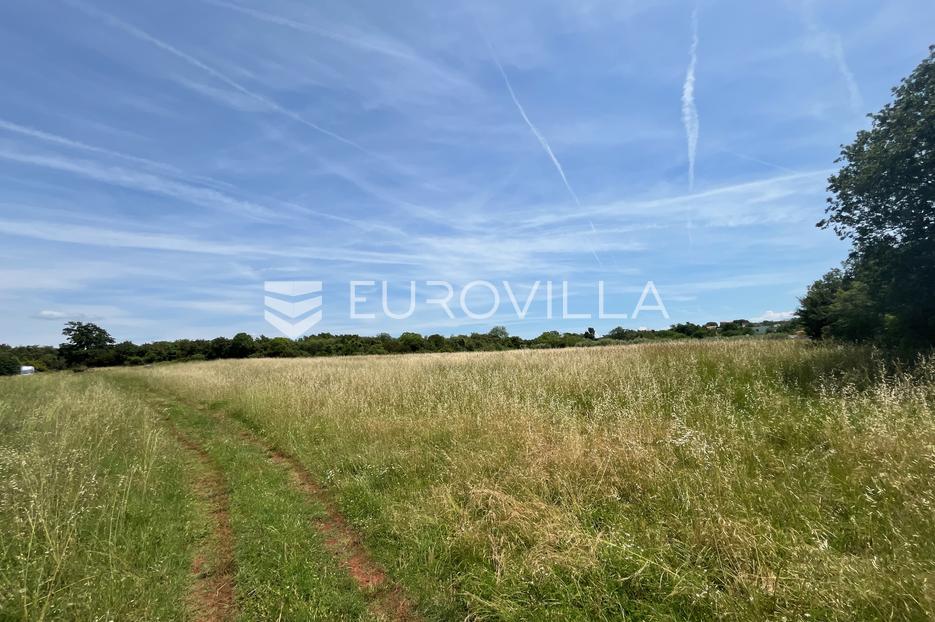 Istra, Muntić poljoprivredno zemljište u blizini centra - cover