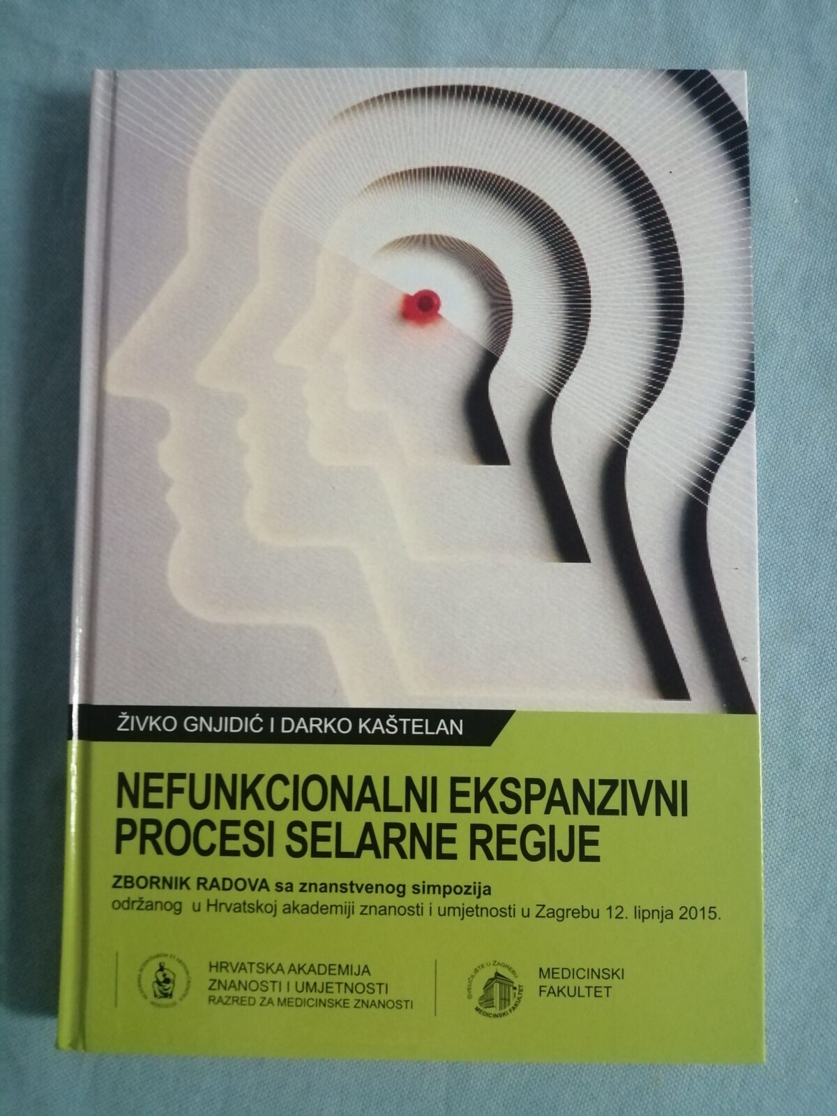 Nefunkcionalni ekspanzivni procesi selarne regije - cover