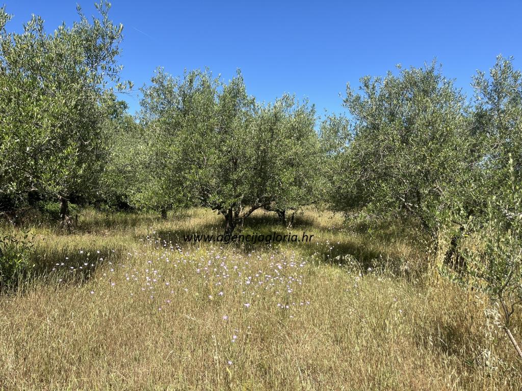 PRIDRAGA-građevinsko zemljište 1.111m2 - cover