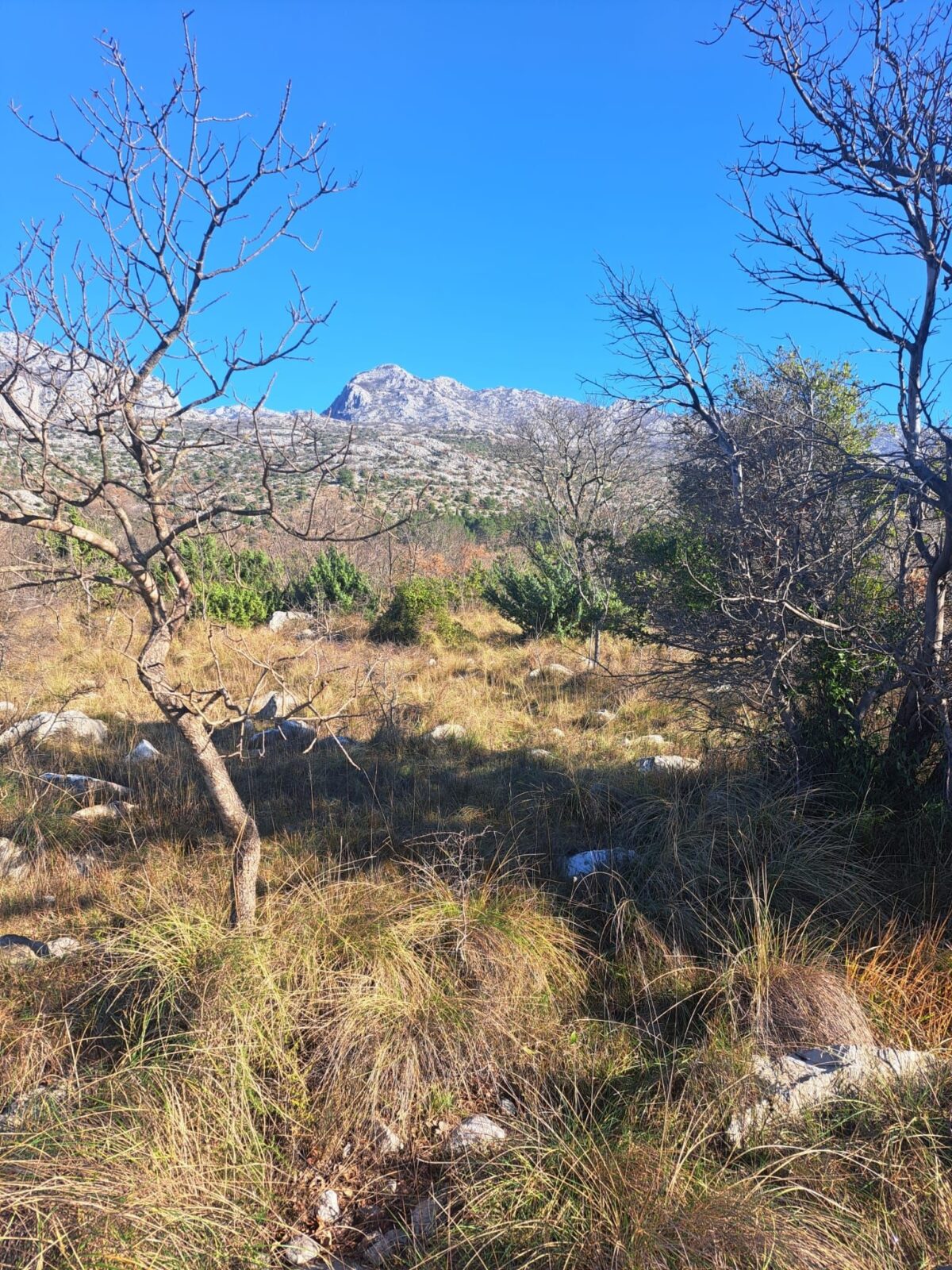 Starigrad, 2 građevinska zemljišta po 1325m2, zanimljiva investicija - cover