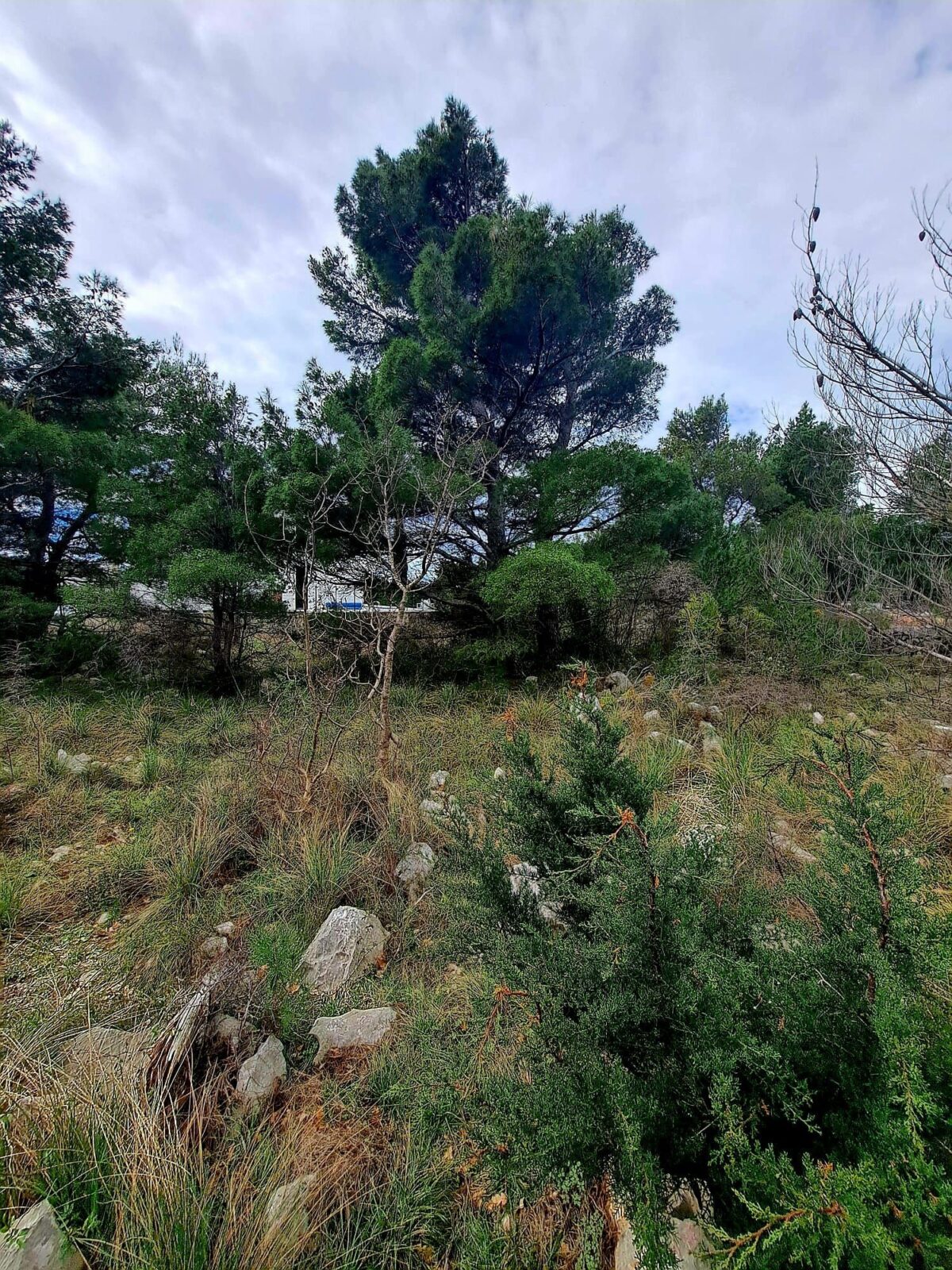 Starigrad, građevinsko zemljište 507m2 - cover
