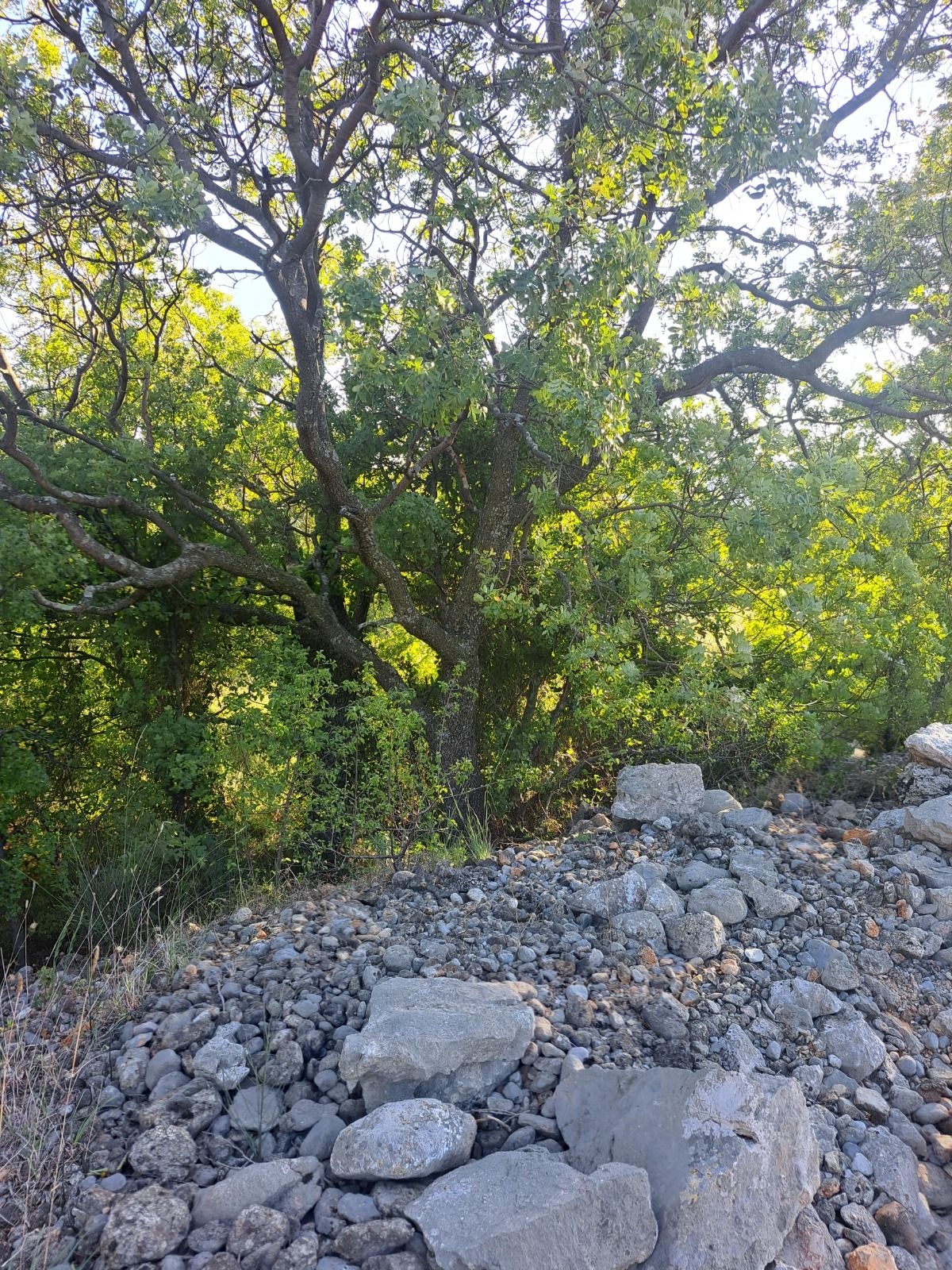 Seline, poljoprivredno zemljište 1143m2 - cover