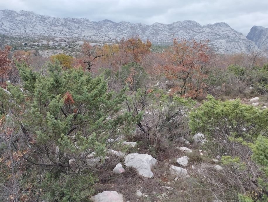 Seline, građevinsko zemljište, 6702m2 - cover