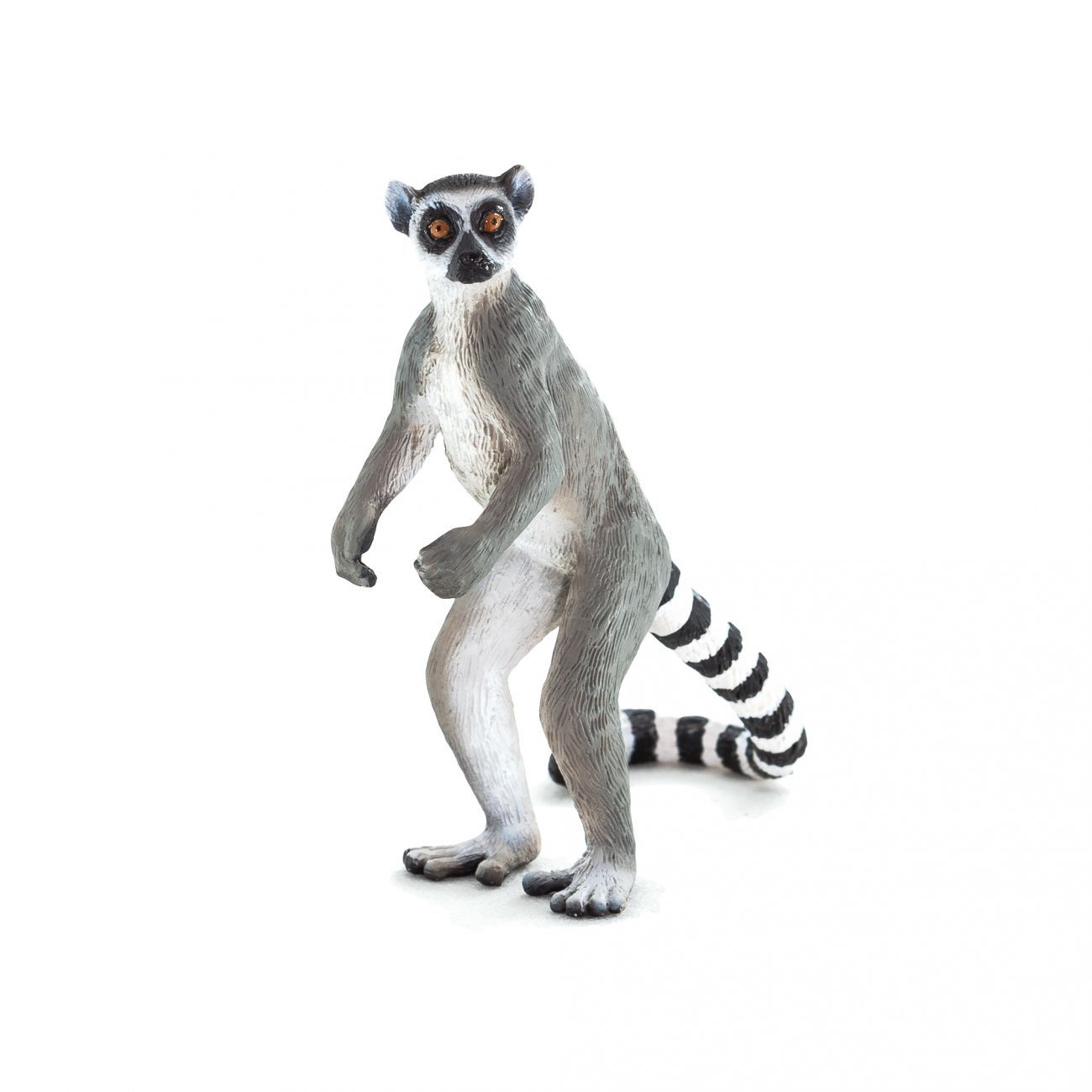Lemur - cover