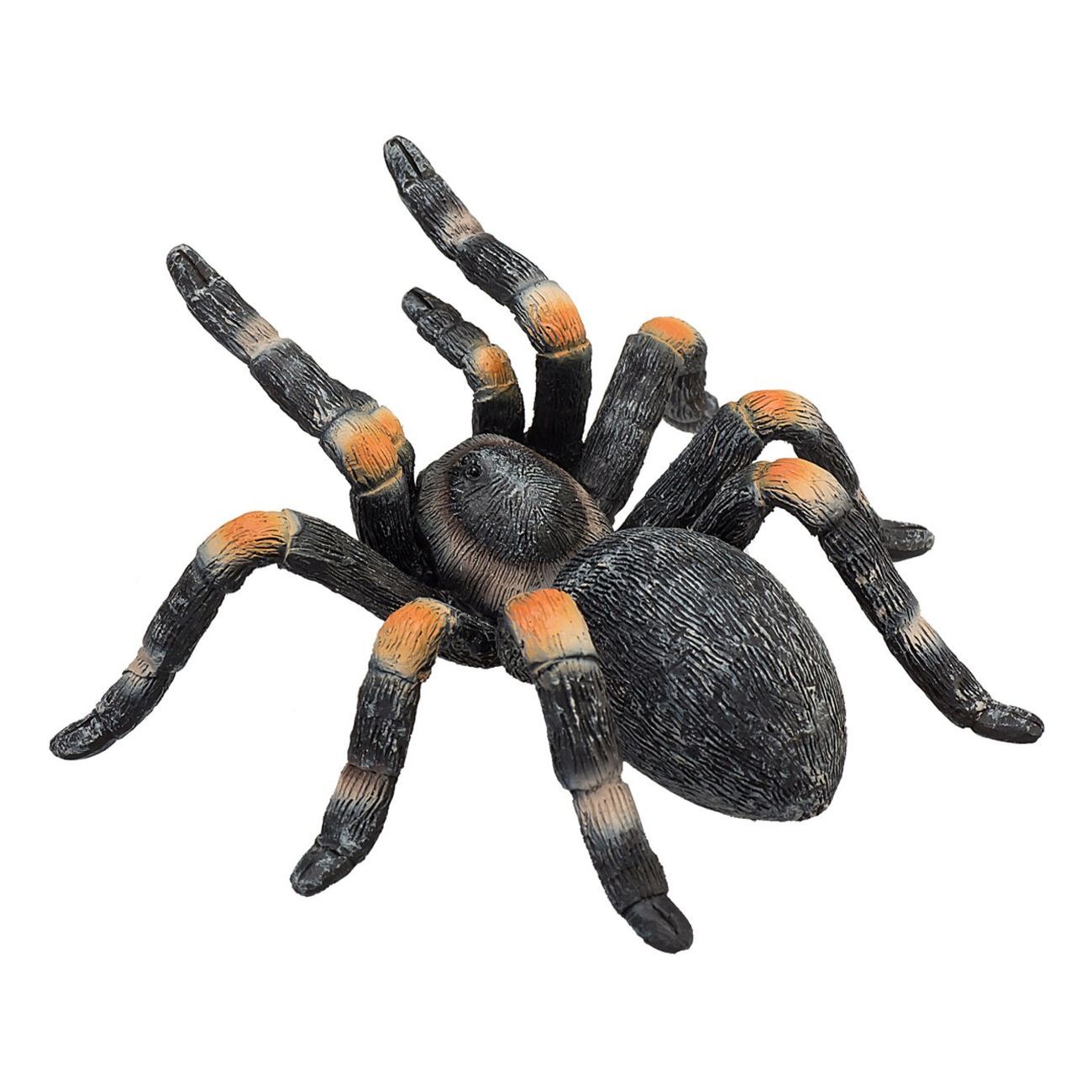Tarantula - cover