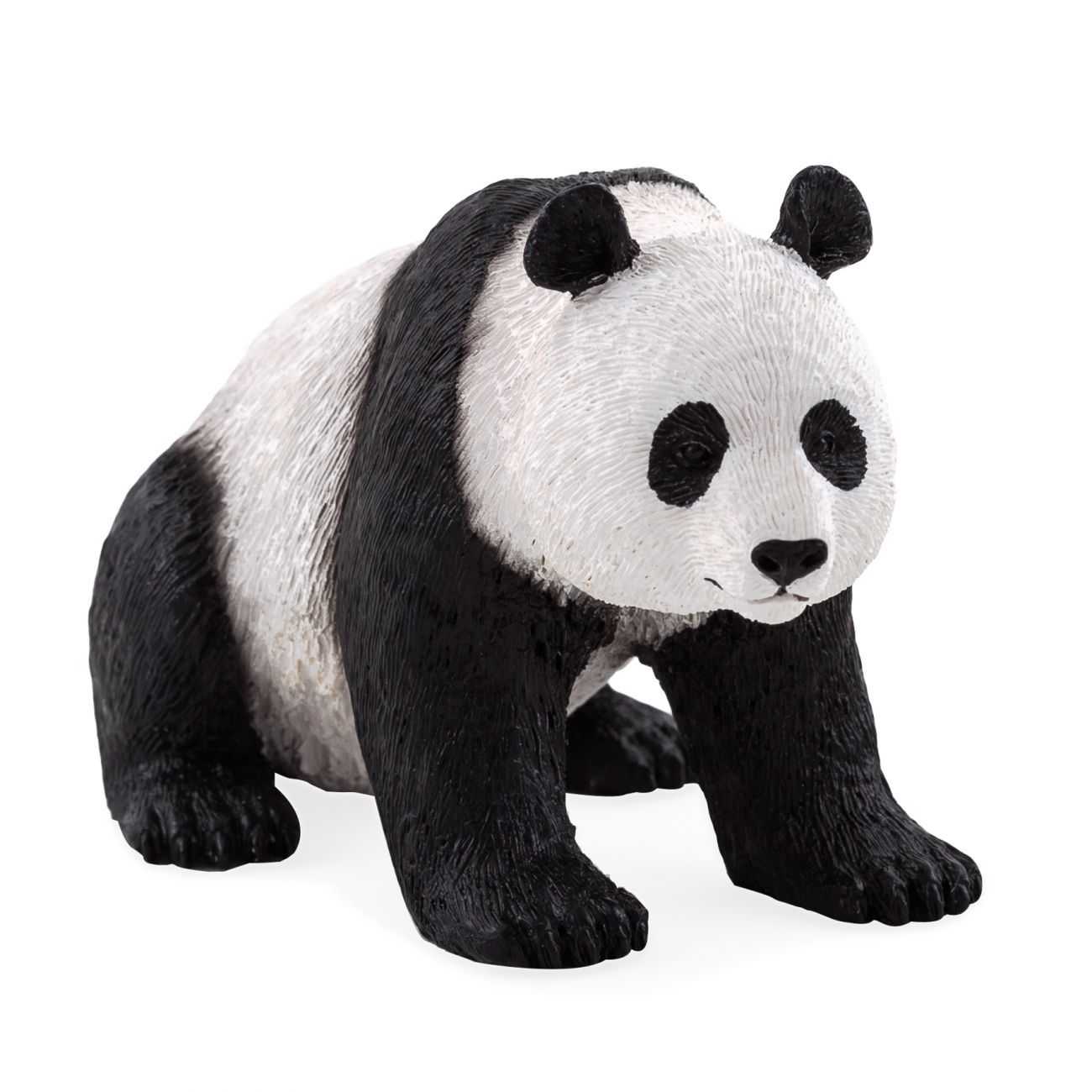Panda - cover