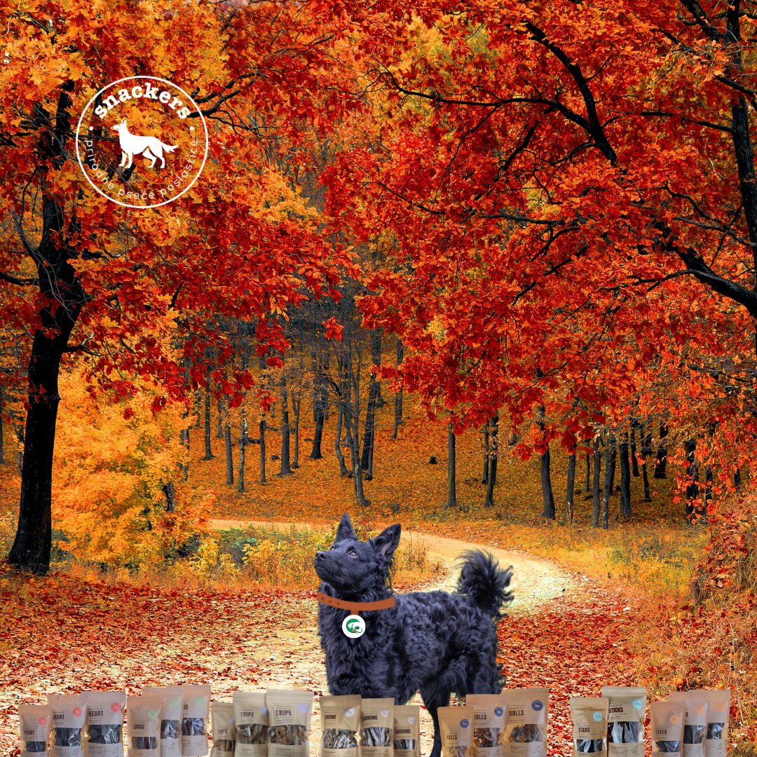 Snackers poslastice za pse - cover