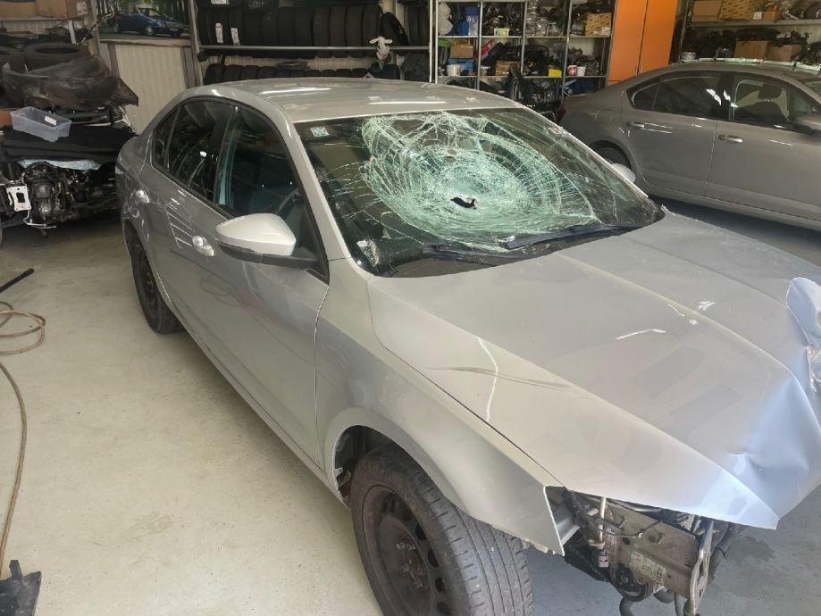 Škoda Octavia 1,6 TDI automatik - cover