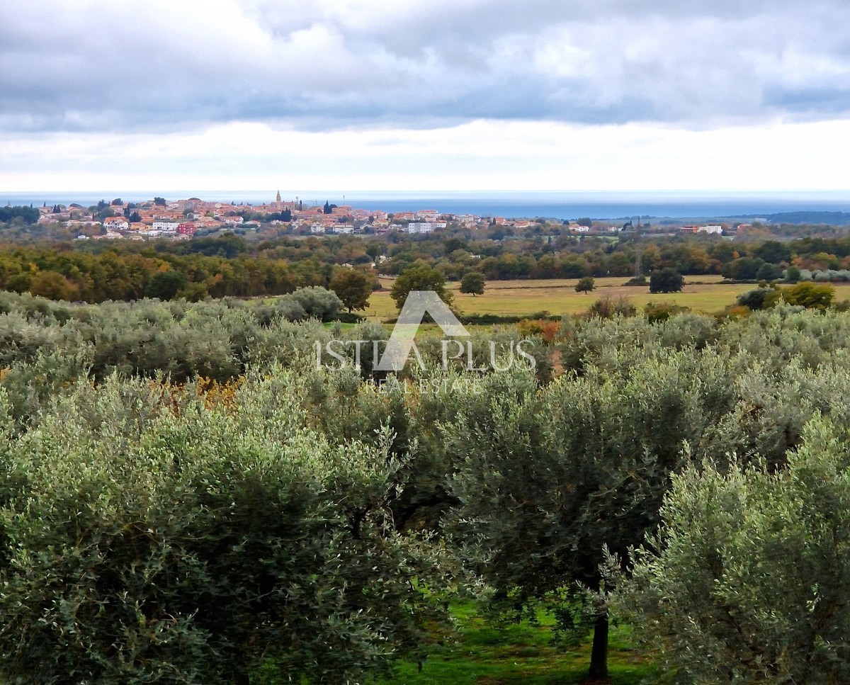 PRILIKA! Prekrasan , veliki stan sa dvorištem - panoramski pogled na more!! - cover