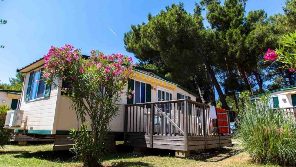 CAMP STUPICE - MOBILNE KUĆICE - cover