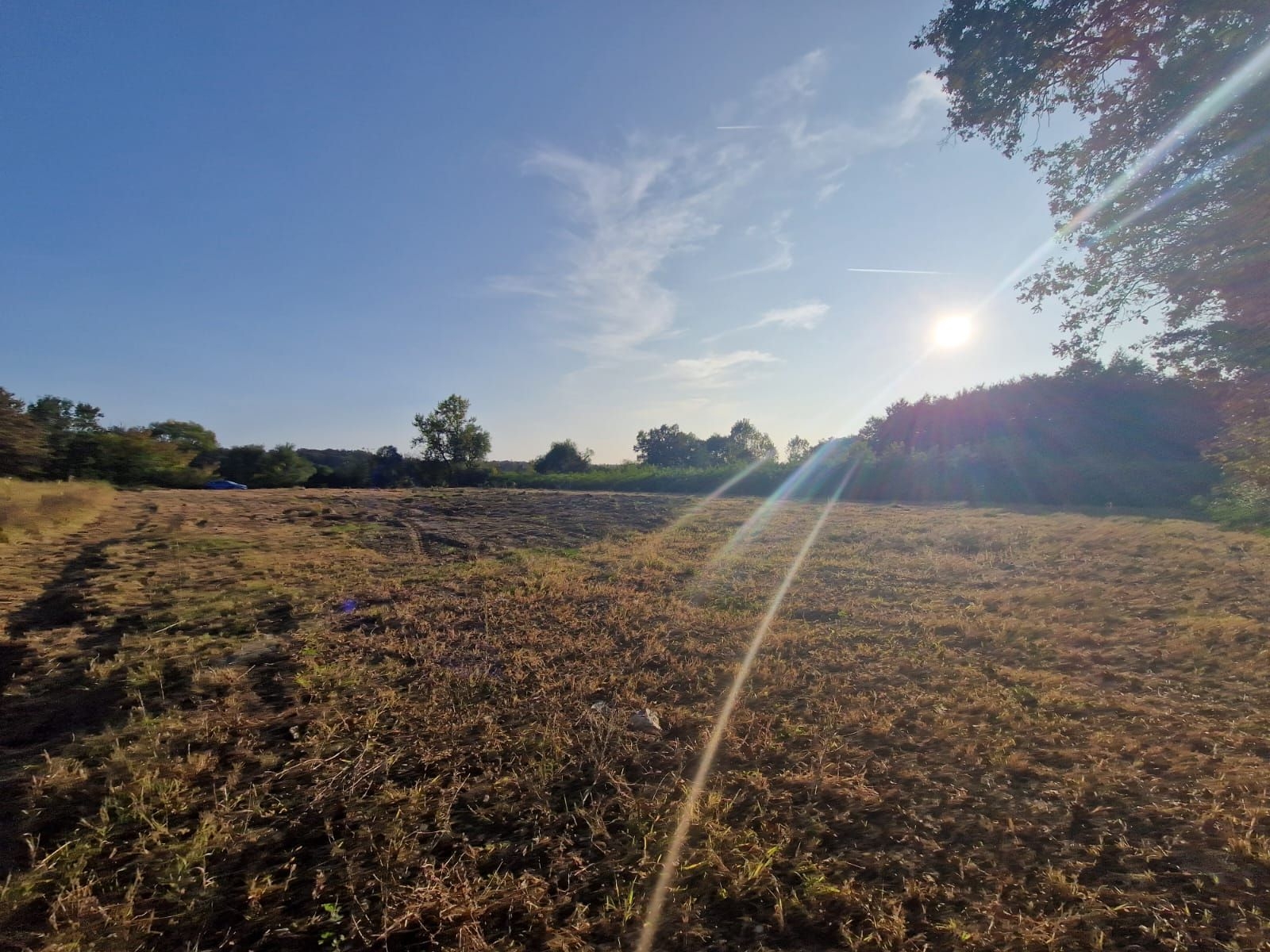 PRODAJA, PISAROVINA, GRAĐEVINSKO ZEMLJIŠTE, 4.100 M2 - cover