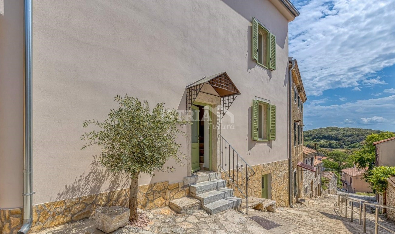 Šarmantna kuća sa apartmanima u centru Vrsara - cover