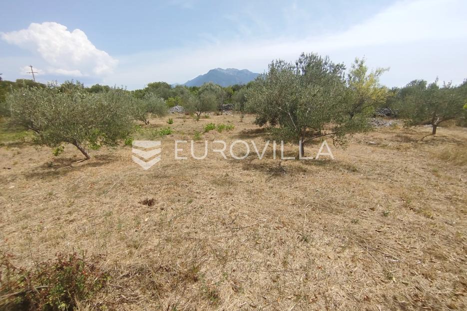 Šestanovac, atraktivna parcela uz put, 900 m2 - cover