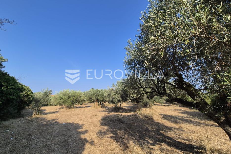 Istra, Peroj, zemljište s maslinicima - cover