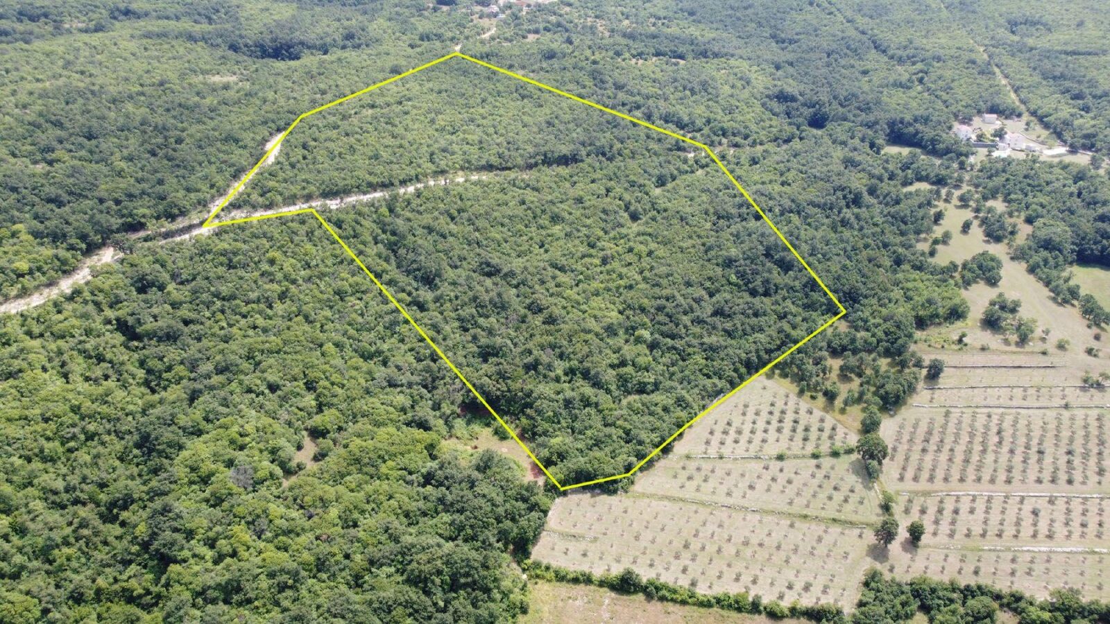 VELIKA CJELINA OD 5,6 ha - cover