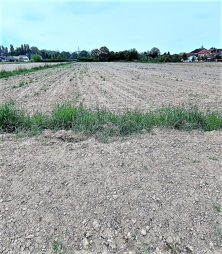 Velika Gorica – Lukavec, zemljište u mjestu, prvi red uz cestu, 6138 m2 - cover