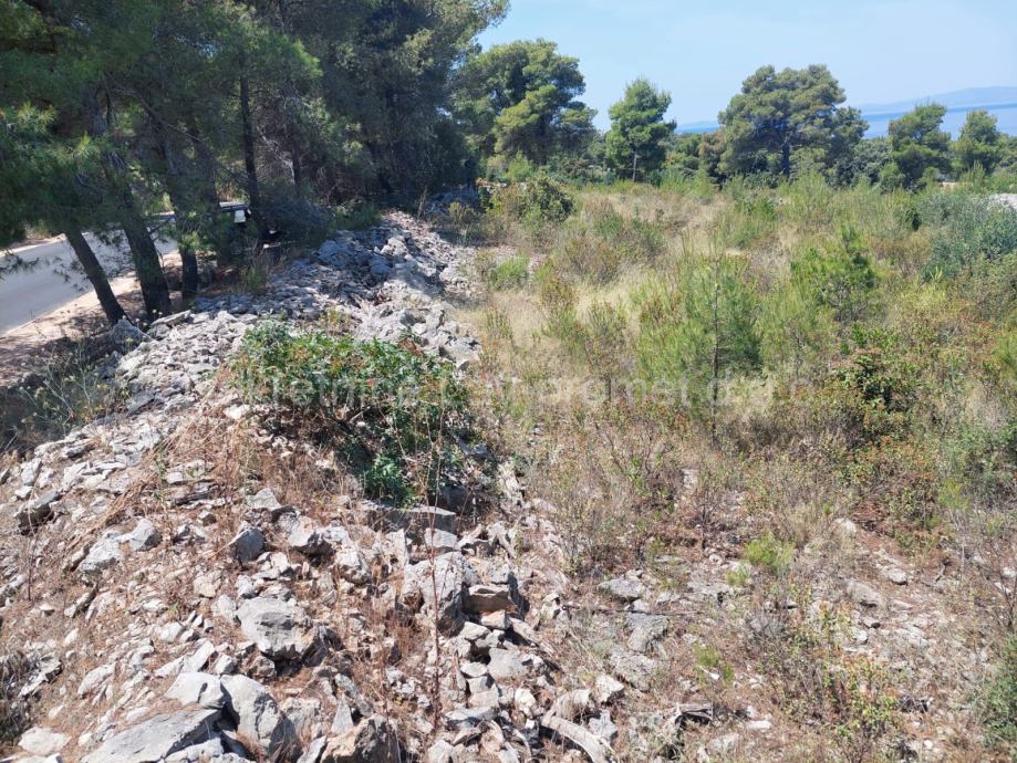 Zemljište prodaja Sutivan 3500m2 - cover
