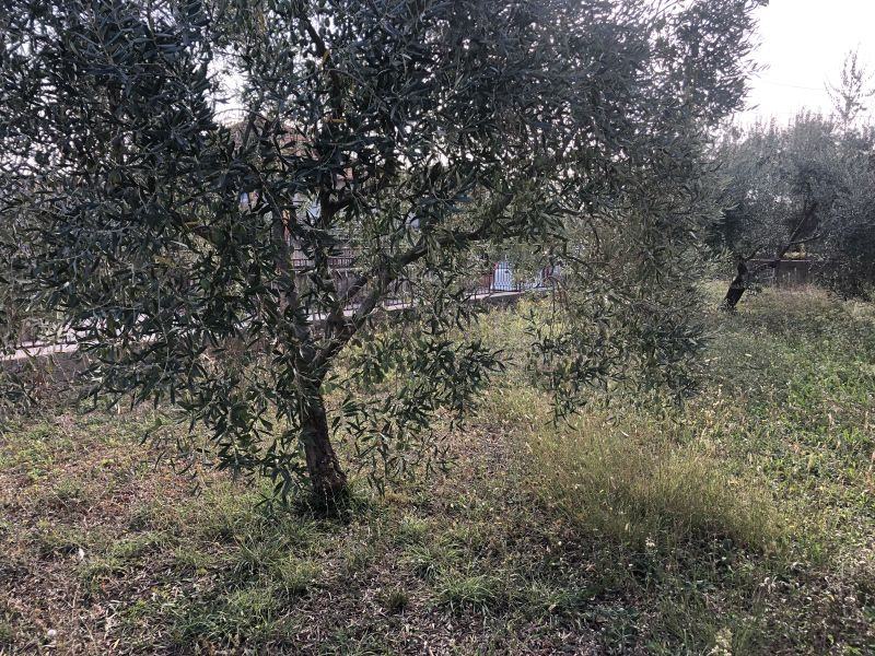 Građevinsko zemljište, Zadar, 1075 m2 - cover