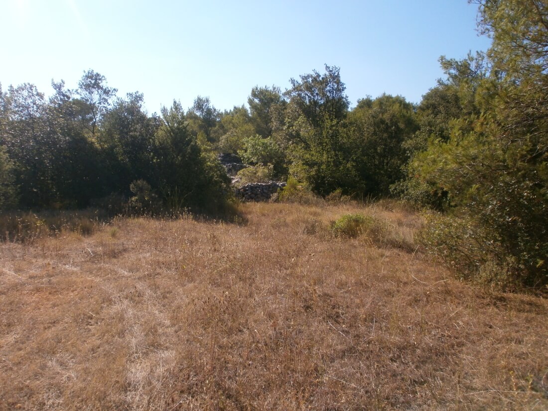 Stari ranč 1km od mora - cover
