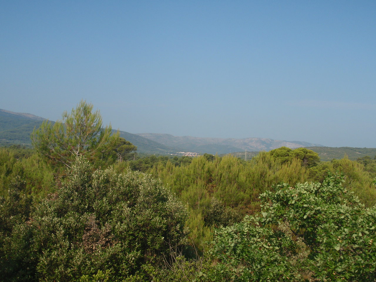 Poljoprivredno zemljište, 6800m2, sa 2 kamene ruševine - cover