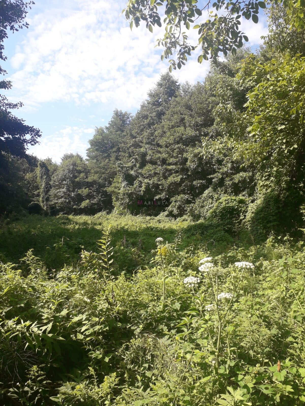 POVOLJNO - KOPRIVNICA - ZEMLJIŠTE 3000m2 - cover
