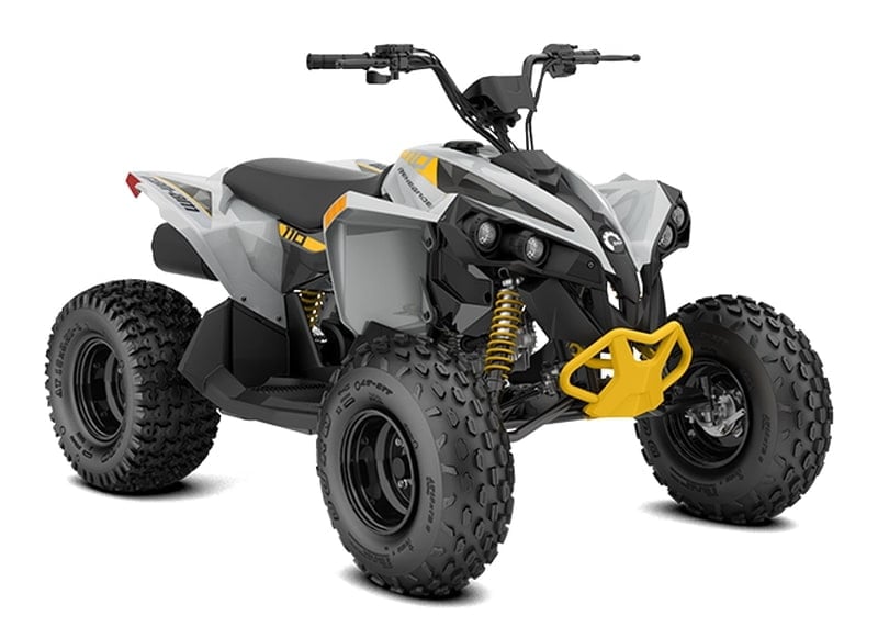 CAN-AM RENEGADE STD 110 EFI - cover