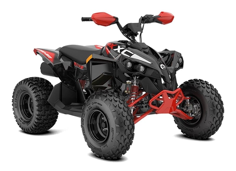 CAN-AM RENEGADE STD 250 - cover