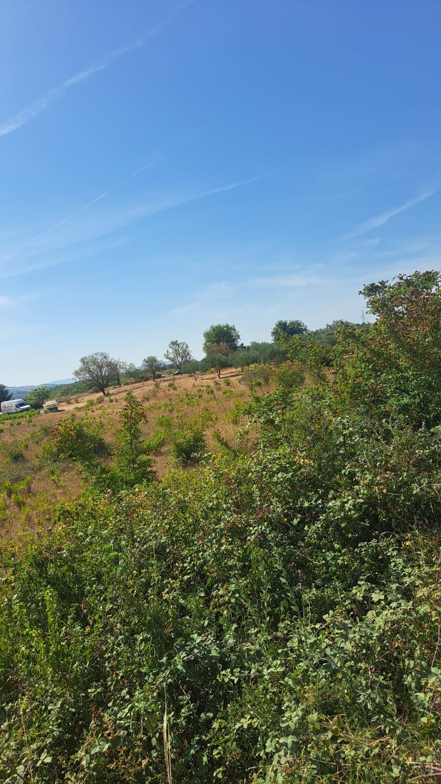 Zadar - Crno, Građevinsko zemljište, netaknuta priroda - cover