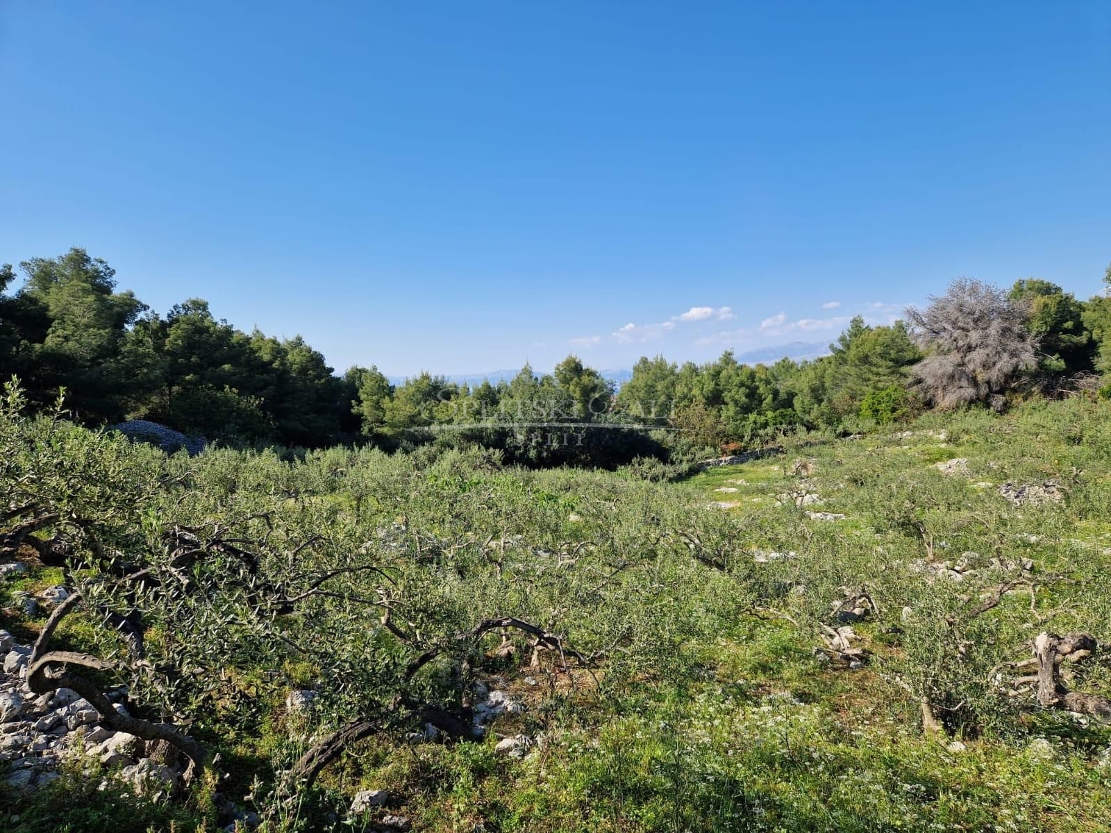 Supetar atraktivno građevinsko zemljište za zgrade, blizina mora - cover