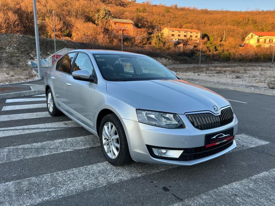 Škoda Octavia 1,6 TDI - cover