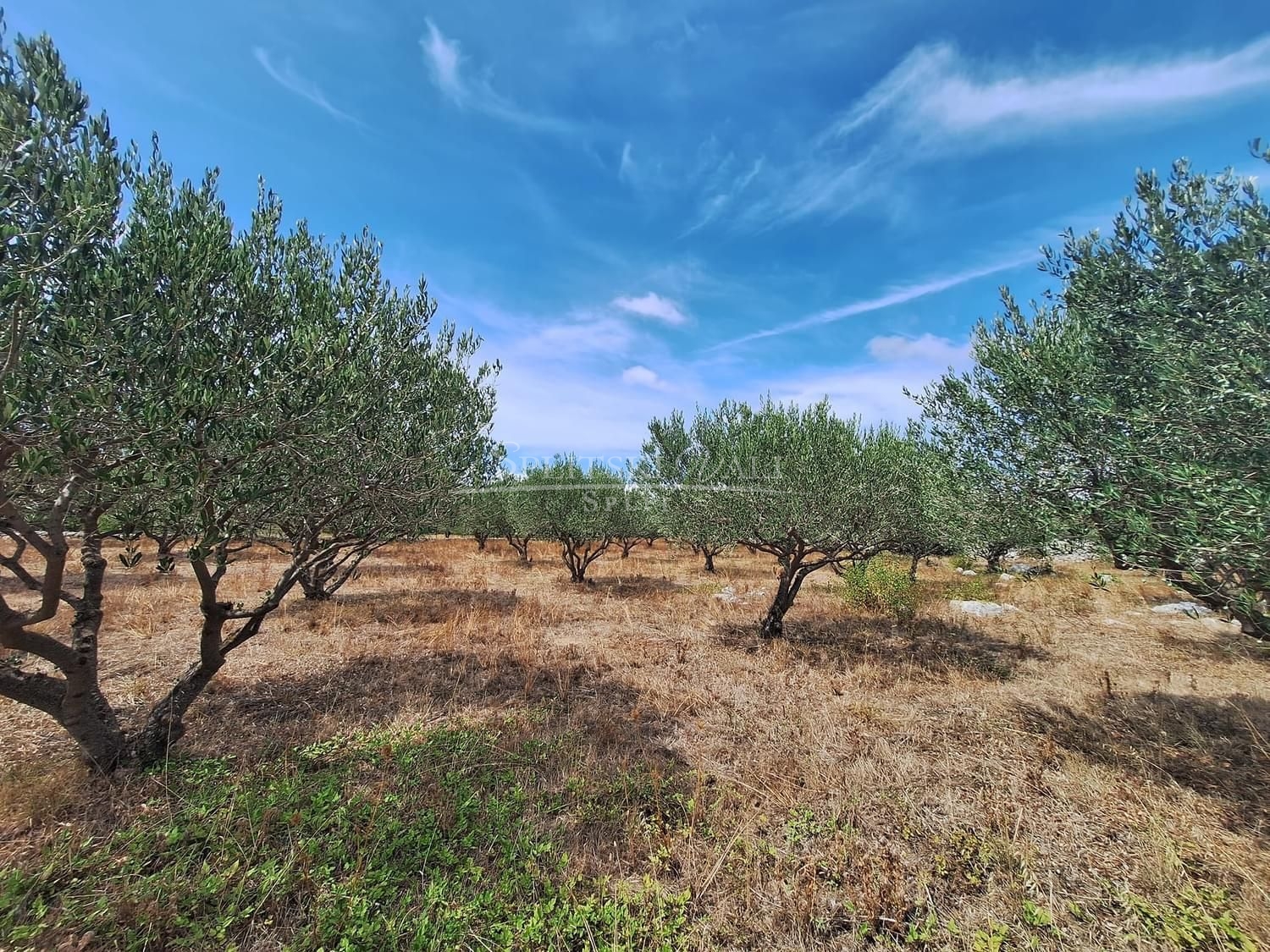 Donji Humac,Brač - atraktivno poljoprivredno zemljište s kućom od 60m2 - cover