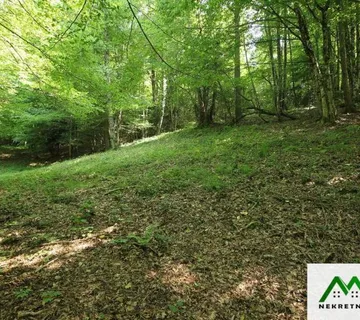 Iz šume se čuje žubor potoka - cover