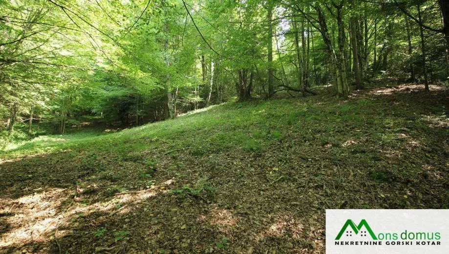 Iz šume se čuje žubor potoka - cover