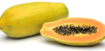 Papaya Formosa - cover