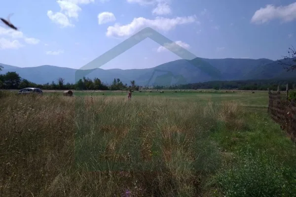 Fotografija