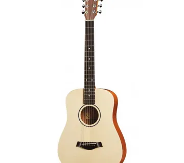 TAYLOR BT1 BABY - cover