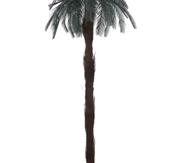 EUROPALMS Cycus palm tree 210cm - cover