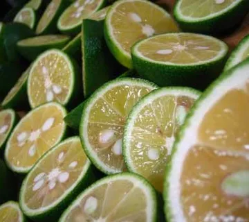 Naranča Yuzu 400 kn - cover
