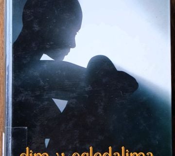 DIM U OGLEDALIMA Jayne Ann Krentz - cover