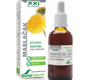 Maslačak XXI ekstrakt - cover