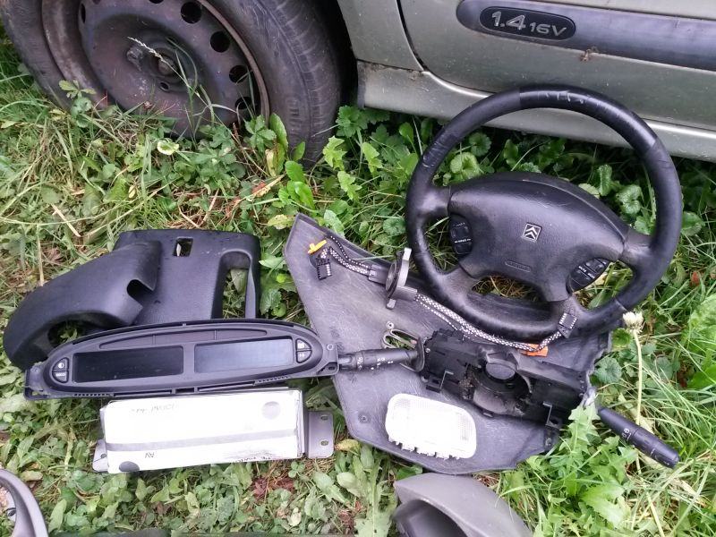 xsara-ruckica-brisaca-xara-rucica-brisyaca-pikaso-slika-106633564