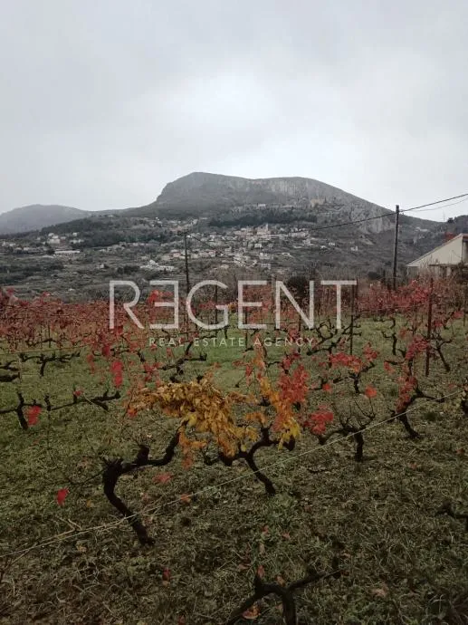 Fotografija