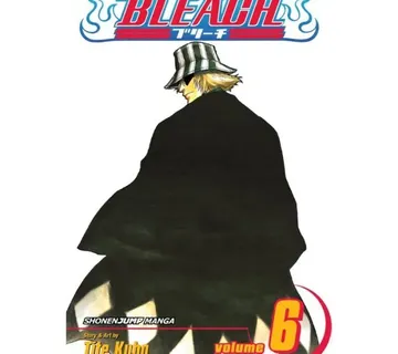 Bleach vol. 6 - cover
