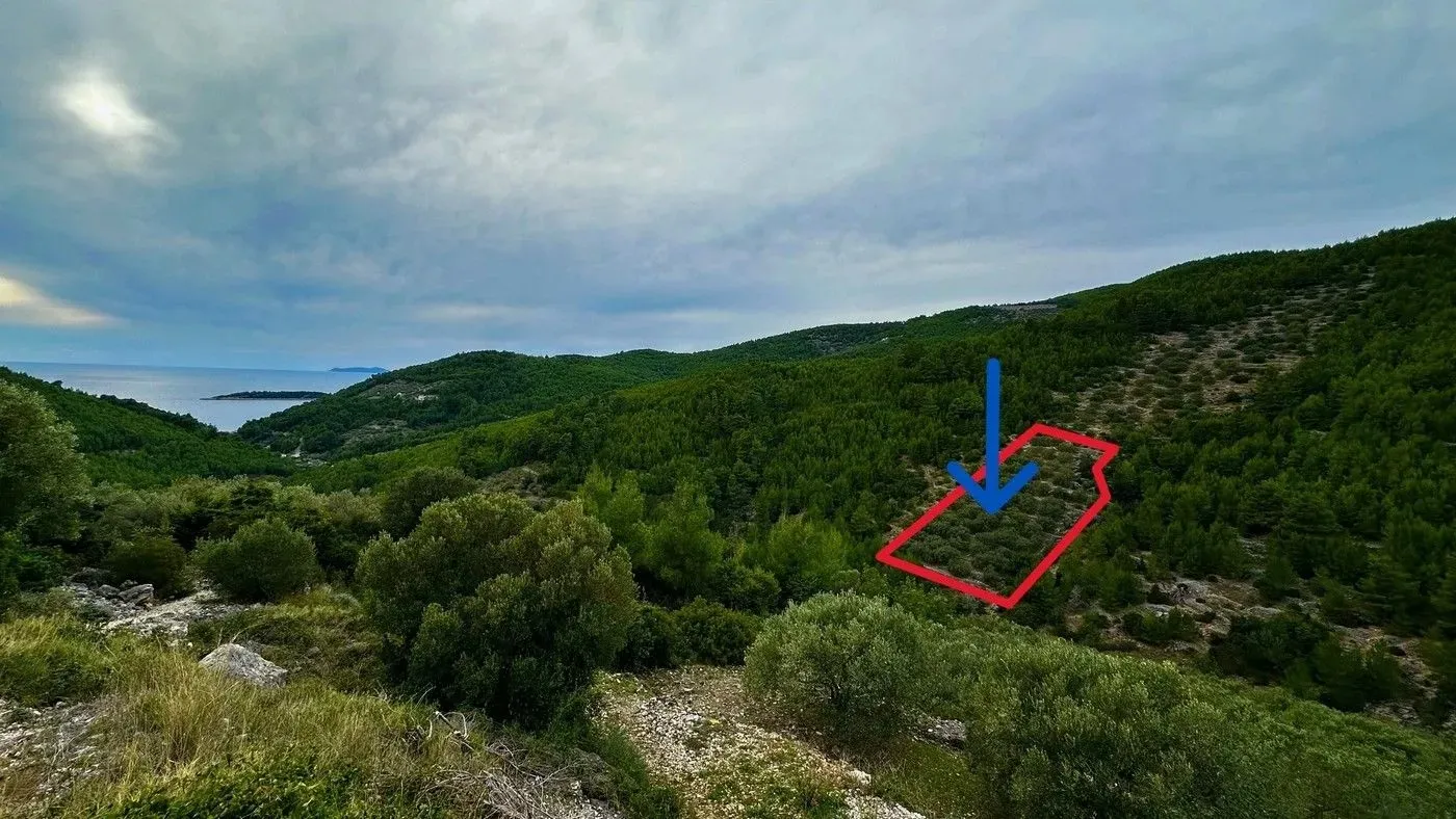 Fotografija