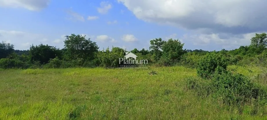 Fotografija