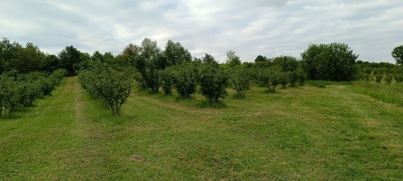 Fotografija